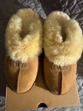 UGG Chestnut Suede Shearling Slippers with Cream Fur Collar